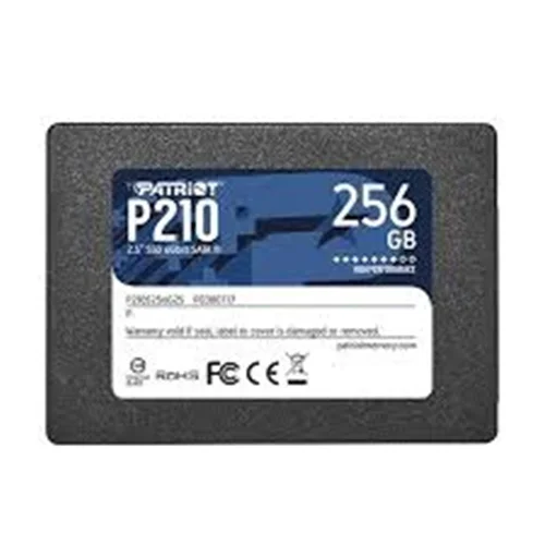 اس اس دی اینترنال پتریوت مدل P210 ظرفیت 256 گیگابایت